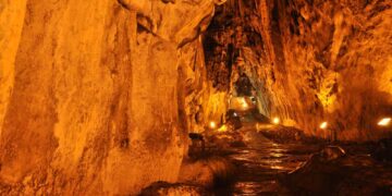 Sinop’ta, 75 milyon yıllık gizem!