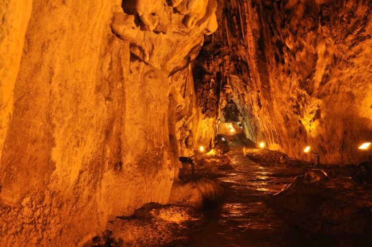 sinop ta 75 milyon yillik gizem habermeydan