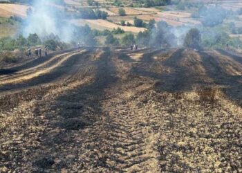 Sinop’ta biçerdöverden sıçrayan kıvılcım yangına sebep oldu!