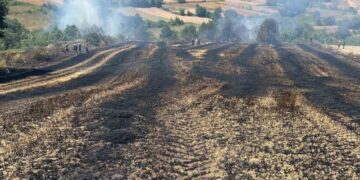 Sinop’ta biçerdöverden sıçrayan kıvılcım yangına sebep oldu!