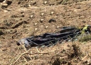 Sinop’ta, operatör iş makinesinin altında kalarak hayatını kaybetti!