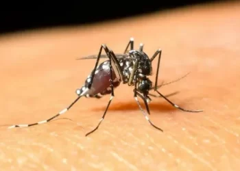 Batı Nil virüsü nedir? Batı Nil virüsünün belirtileri nelerdir?