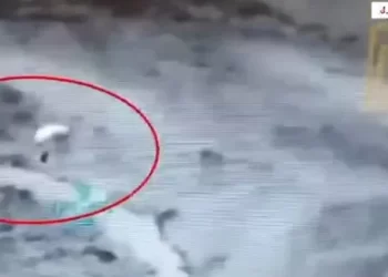 Bölücü terör örgütü mensubu 4 terörist etkisiz hale getirildi