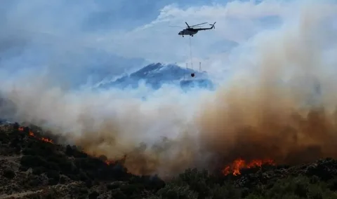 AFAD duyurdu! "Genel hayata etkili afet bölgesi" ilan edilen yerlerde nakdi yardım yapılacak Genel hayata etkili afet bolgesi habermeydan