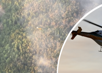 Bakan Yumaklı: Manisa ve Uşak’taki orman yangınları kontrol altına alındı