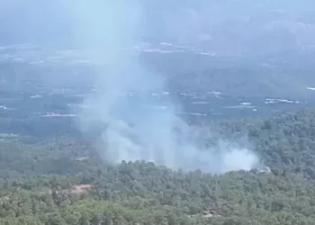 Muğla Köyceğiz’de orman yangını