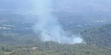 Muğla Köyceğiz’de orman yangını