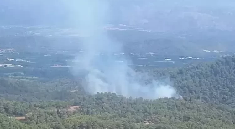 Mugla Koycegizde orman yangini habermeydan