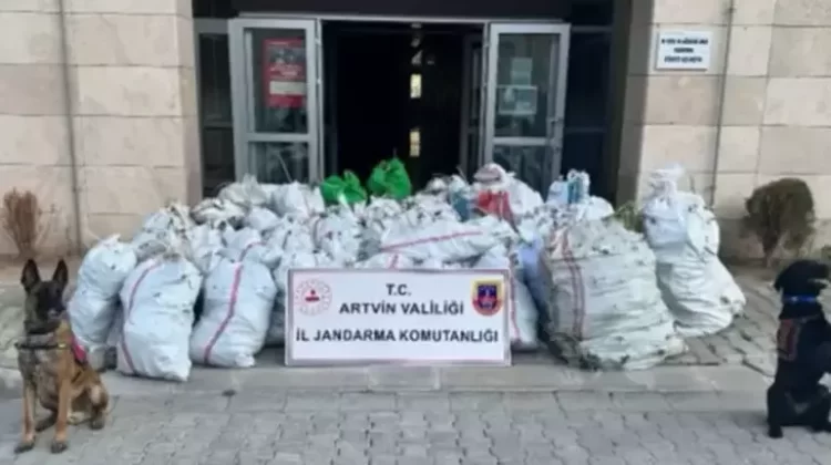 NARKOCELIK 36 habermeydan 1