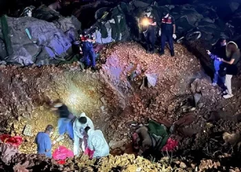 Altındağ’da köpek katliamı: Soruşturma başlatıldı