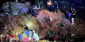 Altındağ’da köpek katliamı: Soruşturma başlatıldı
