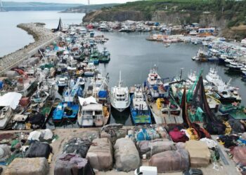 İstanbul’da av yasağının kalkmasına saatler kaldı