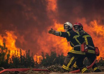 Avrupa’da yüksek sıcaklıklarla orman yangınları artıyor