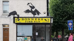 banksy pelikan habermeydan