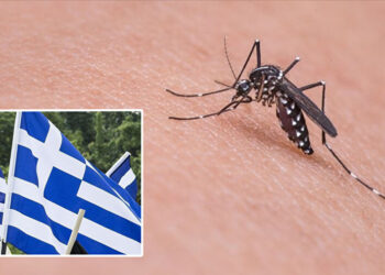 Yunanistan’da Batı Nil virüsü nedeniyle hayatını kaybedenlerin sayısı arttı