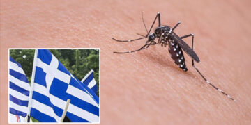 Yunanistan’da Batı Nil virüsü nedeniyle hayatını kaybedenlerin sayısı arttı