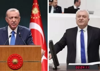 Cumhurbaşkanı Erdoğan, CHP’li Özkan’a tazminat davası açtı