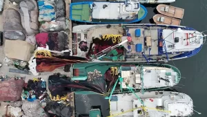 İstanbul'da av yasağının kalkmasına saatler kaldı istanbul av habermeydan