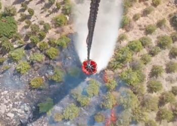 İzmir’de orman yangını! Müdahale devam ediyor