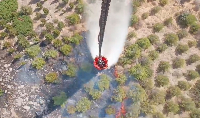 İzmir'de orman yangını! Müdahale devam ediyor izmir yangin habermeydan