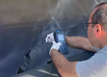 Bakanlık, İzmir Körfezi’ndeki balık ölümlerini incelemeye aldı