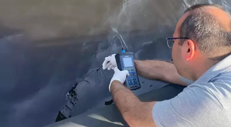 korfez balik olumleri habermeydan