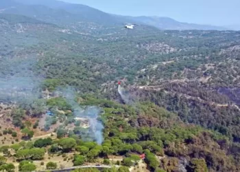 MSB orman yangınlarına 15 helikopterle destek verdi