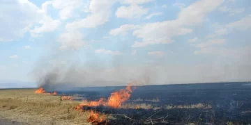 Muş, Bulanık’ta, çiftçiler uyarılara rağmen anız yakmaya devam ediyor!