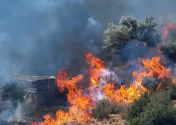 İletişim’den orman yangınları hakkındaki dezenformasyonlara ilişkin açıklama