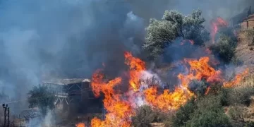 İletişim’den orman yangınları hakkındaki dezenformasyonlara ilişkin açıklama