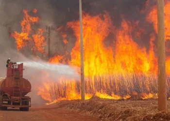 Brezilya’da orman yangınları can kayıplarına yol açtı