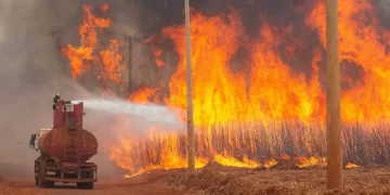 Brezilya’da orman yangınları can kayıplarına yol açtı