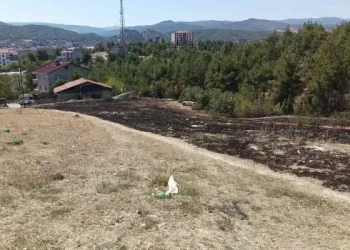 Sinop’ta çıkan ot yangını paniğe neden oldu!