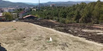 Sinop’ta çıkan ot yangını paniğe neden oldu!