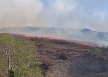 Sinop’ta örtü yangını: 5 hektar alan zarar gördü