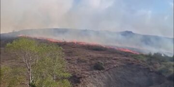 Sinop’ta örtü yangını: 5 hektar alan zarar gördü