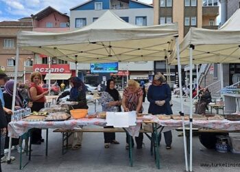 Sinop Türkeli’de, sahipsiz hayvanlar için yarım günde 51 bin lira toplandı!