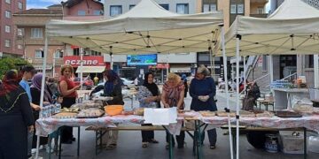 Sinop Türkeli’de, sahipsiz hayvanlar için yarım günde 51 bin lira toplandı!