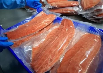 Türk somonu ihracatında yüzde 3’lük artış