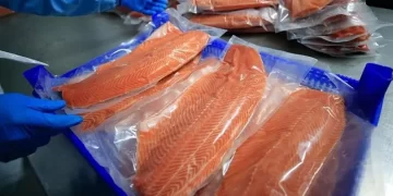 Türk somonu ihracatında yüzde 3’lük artış