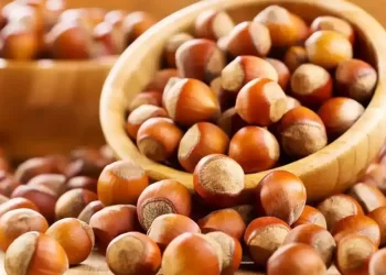 TMO’nun Giresun’da ilk aldığı fındığın fiyatı belirlendi