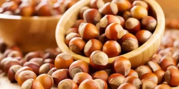 TMO’nun Giresun’da ilk aldığı fındığın fiyatı belirlendi