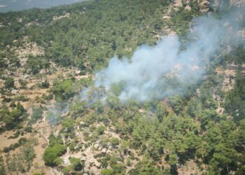 Muğla’nın Yatağan ilçesinde orman yangını