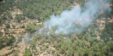 Muğla’nın Yatağan ilçesinde orman yangını