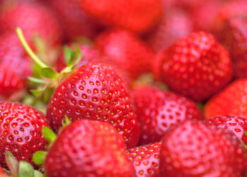 Hüyük çileğine AB tescili