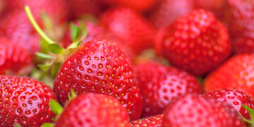 Hüyük çileğine AB tescili