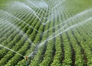 Bakan Yumaklı açıkladı! 81 ilde ilk toplantılarını yapan İl Su Kurullarında alınan kararlar