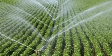 Bakan Yumaklı açıkladı! 81 ilde ilk toplantılarını yapan İl Su Kurullarında alınan kararlar