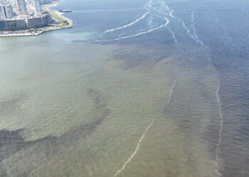 İzmir Körfezi Acil Eylem Planı İçin İlk Toplantı 17 Eylül’de