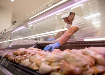 Tavuk eti üretimi Temmuz’da aylık ve yıllık bazda arttı